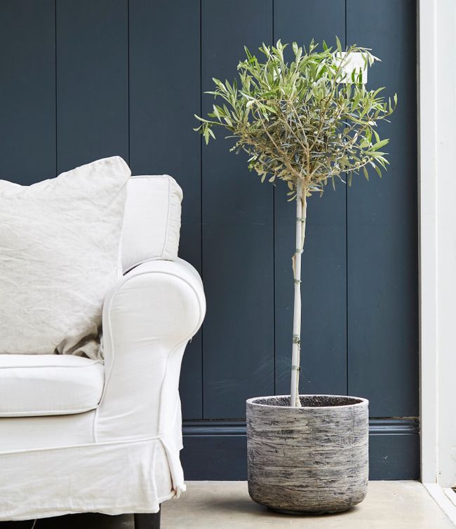 Gearing up for 2022 - Woodlodge countdown to Spring Fair